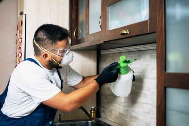 Pest Control Cost in Black Rock, NM