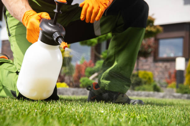 Best Pest Control Cost  in Black Rock, NM