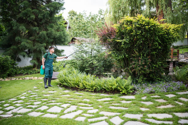 Best Mosquito Control Services  in Black Rock, NM