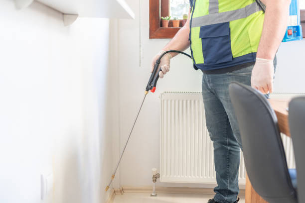 Best Cockroach Control Services  in Black Rock, NM