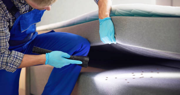 Best Rat Extermination Near Me  in Black Rock, NM
