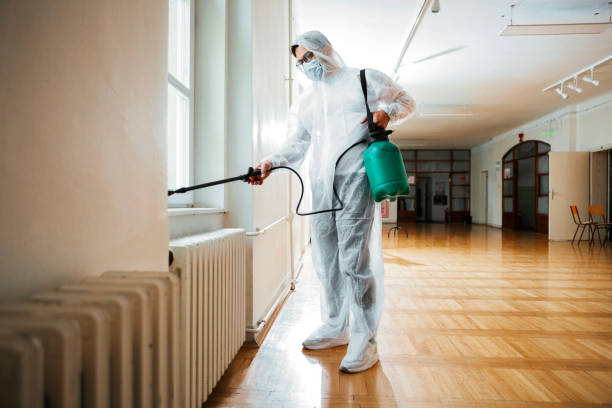 Best Local Pest Control Services  in Black Rock, NM